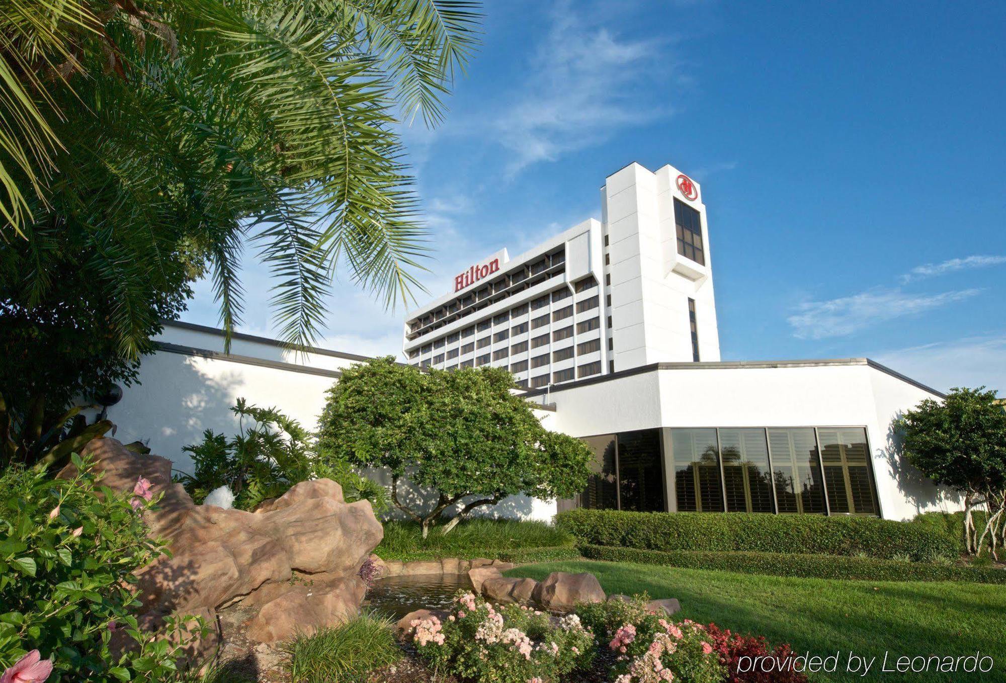 Hilton Airport Westshore Hotel Tampa